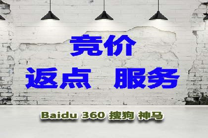 搜索引擎营销（SEM）的精准投放技巧案例